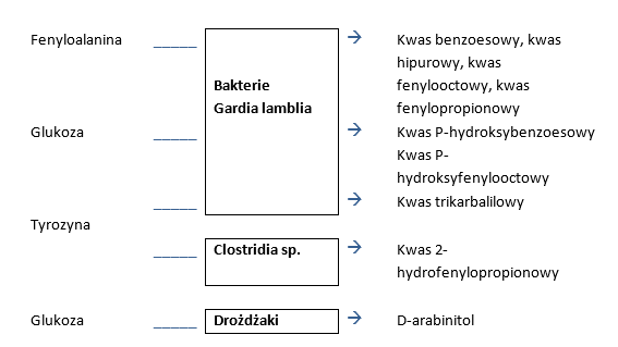Fenyloalanina, Bakterie Gardia, lamblia, Kwas benzoesowy, kwas hipurowy, kwas fenylooctowy, kwas fenylopropionowy, Glukoza, Kwas P-hydroksybenzoesowy, Kwas P-hydroksyfenylooctowy, Tyrozyna, Kwas trikarbalilowy, Clostridia sp., Kwas 2-hydrofenylopropionowy, Drożdżaki, D-arabinitol